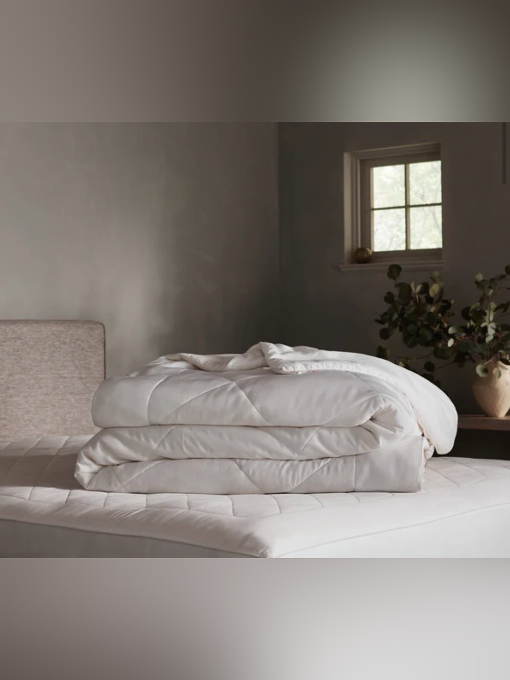 Cozy Earth Mid-Weight Bamboo Comforter Queen/Full NWOT